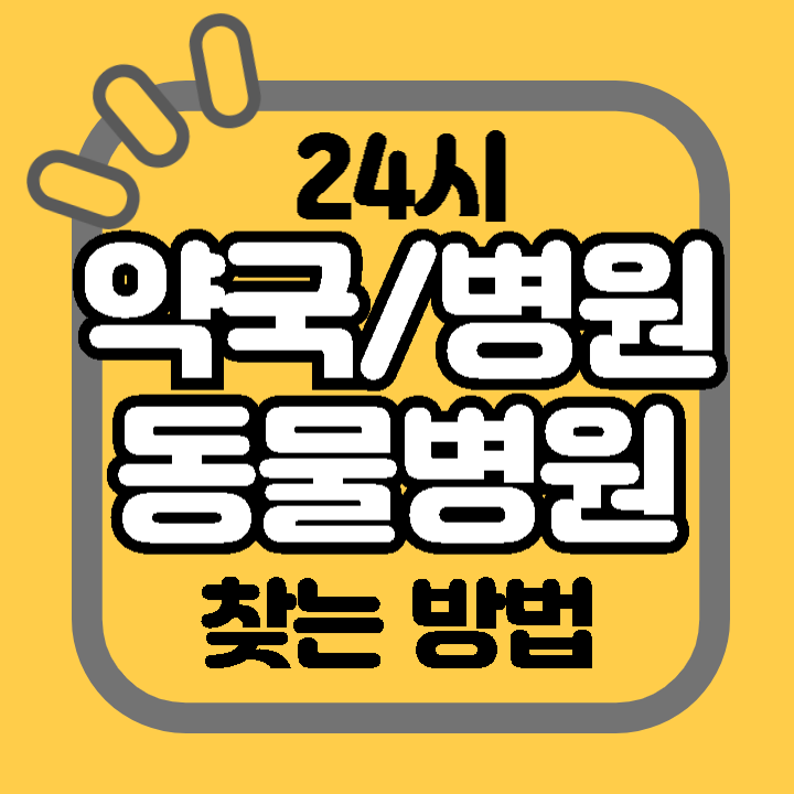 24시 약국 병원 동물병원 야간 주말 공휴일 명절 진료 찾기