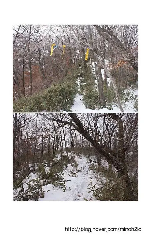 금원산
