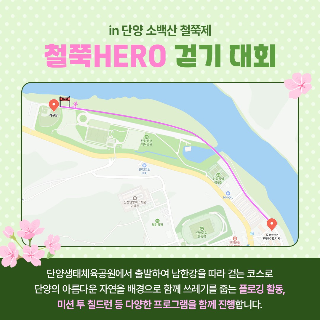  제 40회 단양 소백산 철쭉제 철쭉 HERO 걷기대회