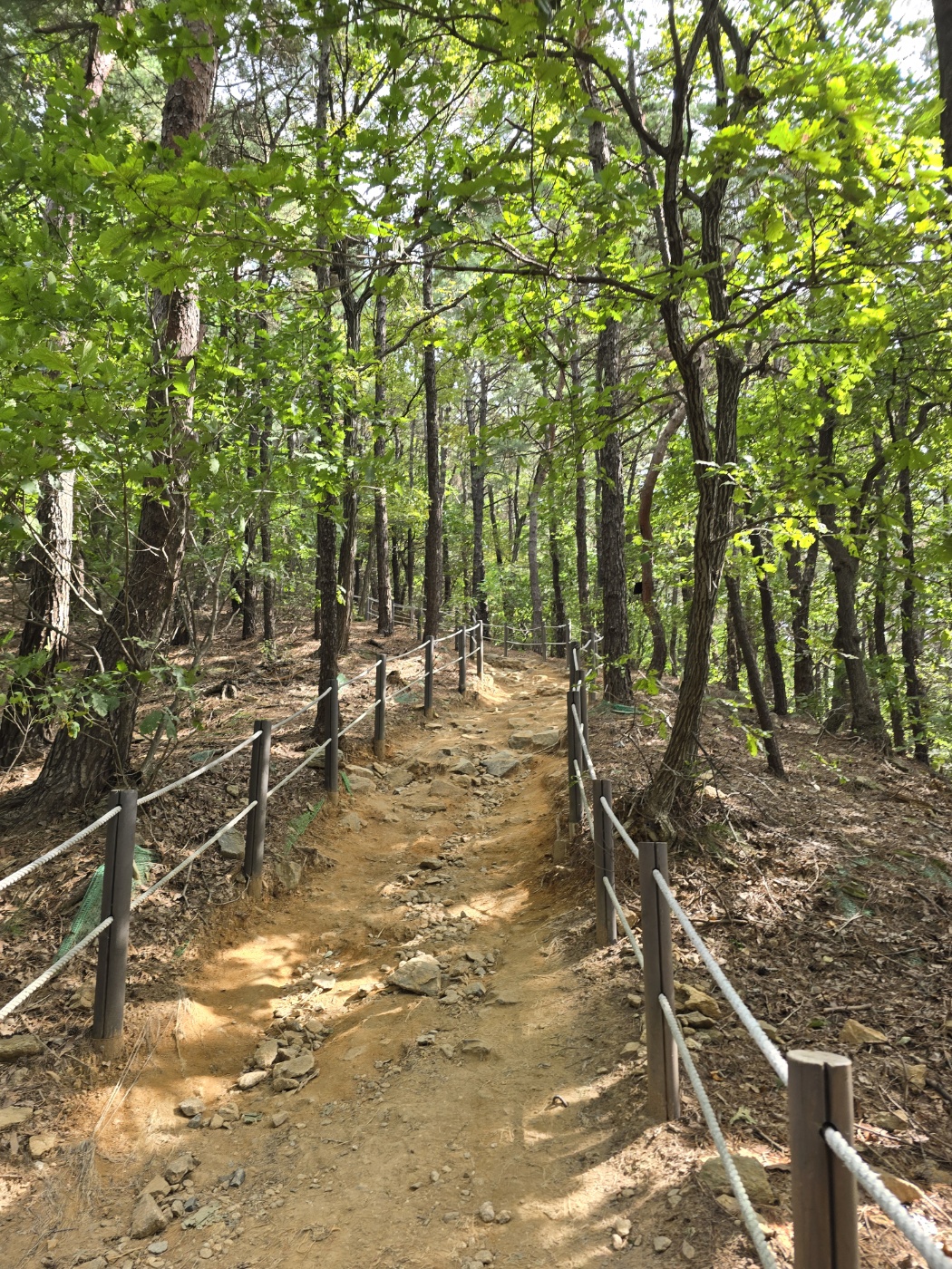 초보도 갈 수 있을 정도의 등산 코스인 광교산