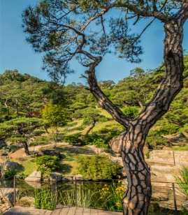 화담숲 예약 모노레일 예약 관람방법