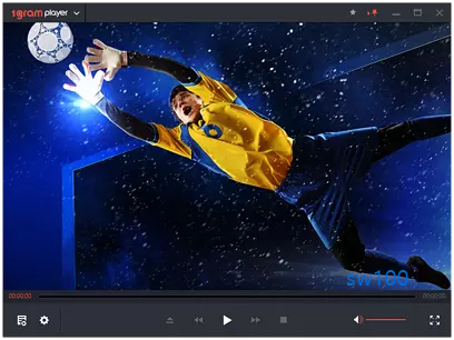 1그램 플레이어 가이드