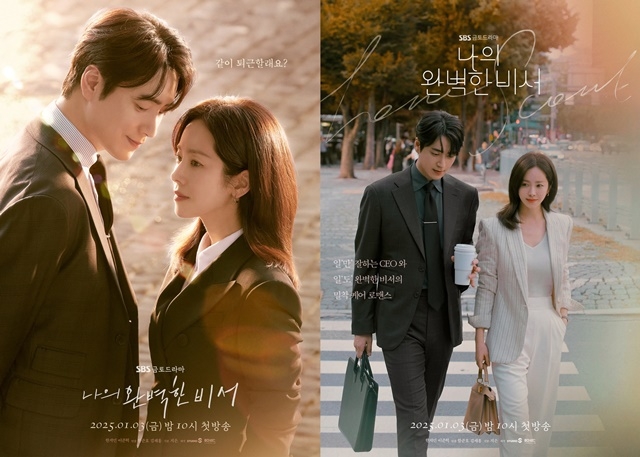 나의 완벽한 비서