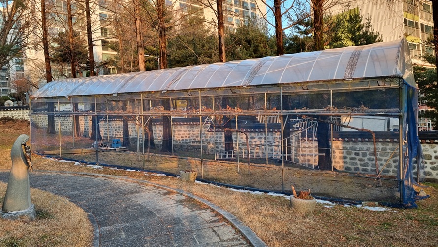 안성 구포동성당 포도나무 사진