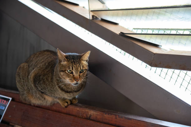 변질된 사료를 확인하는 방법