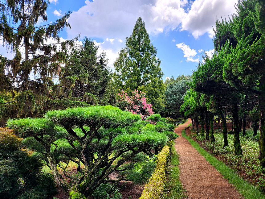 특색있고 아름다운 민간 정원 30선 추천 여행 - 28. 익산 아가페 정원