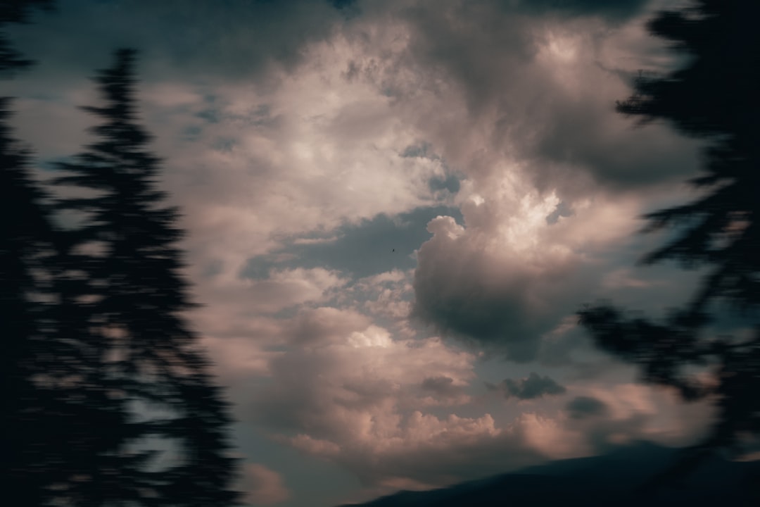 Exposure