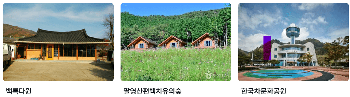 5월 전라남도 축제 가볼만한 곳 여행 추천 소중한 추억을 전합니다