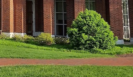 대학 가이드북 활용방법