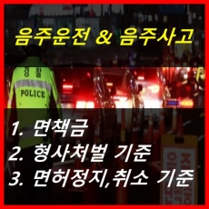 음주운전과 음주사고의 면책금, 형사처벌기준, 면허정지취소 기준 알아보기