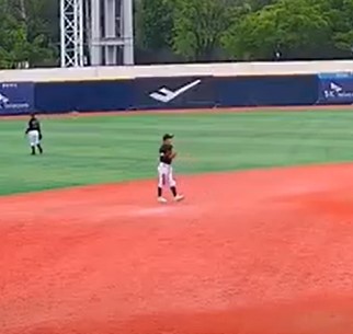 baseball