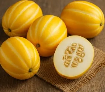 참외 효능 및 영양 정보 섭취 효과 정리_8