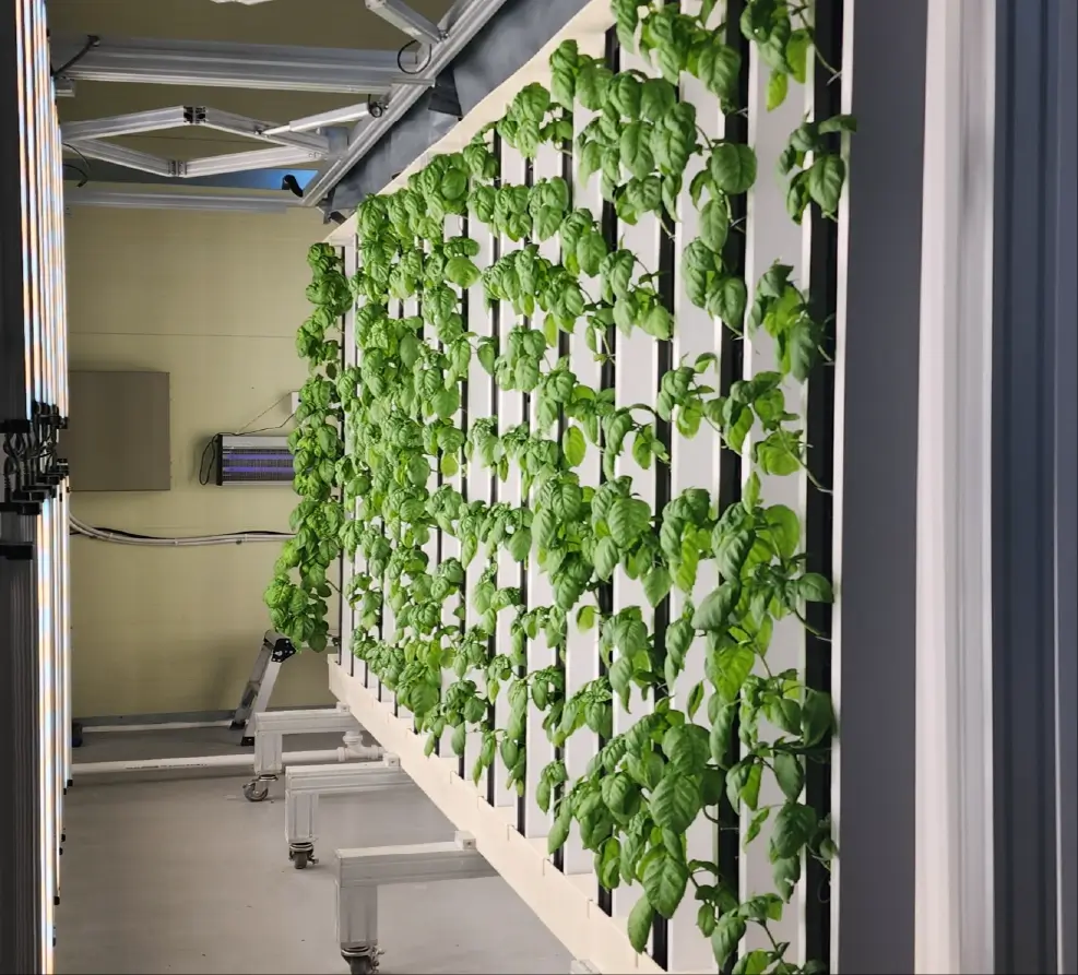 비주류 직업 미래 농업을 설계하는 스마트 온실 튜너 직업 소개