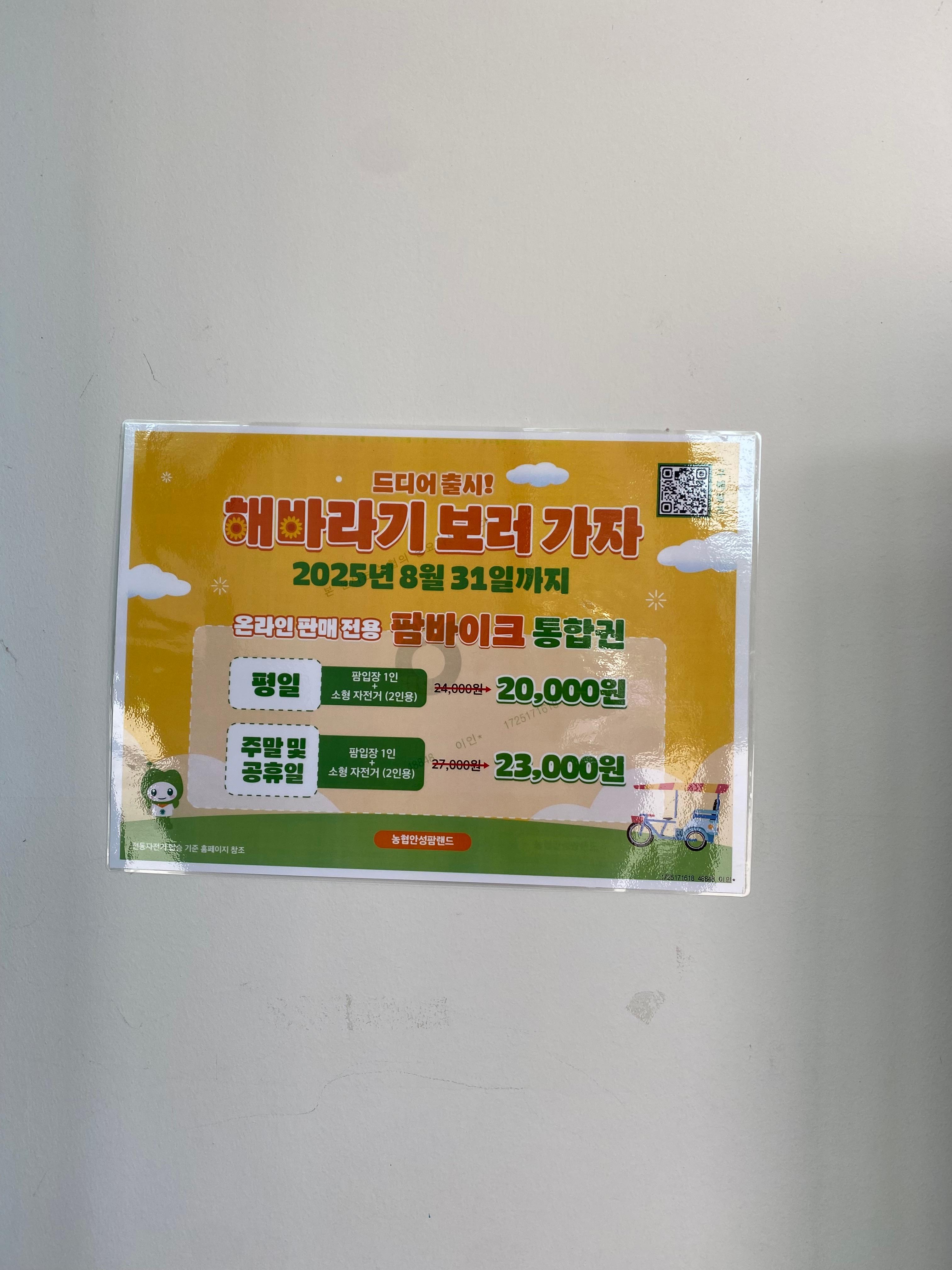 해바라기보러가자