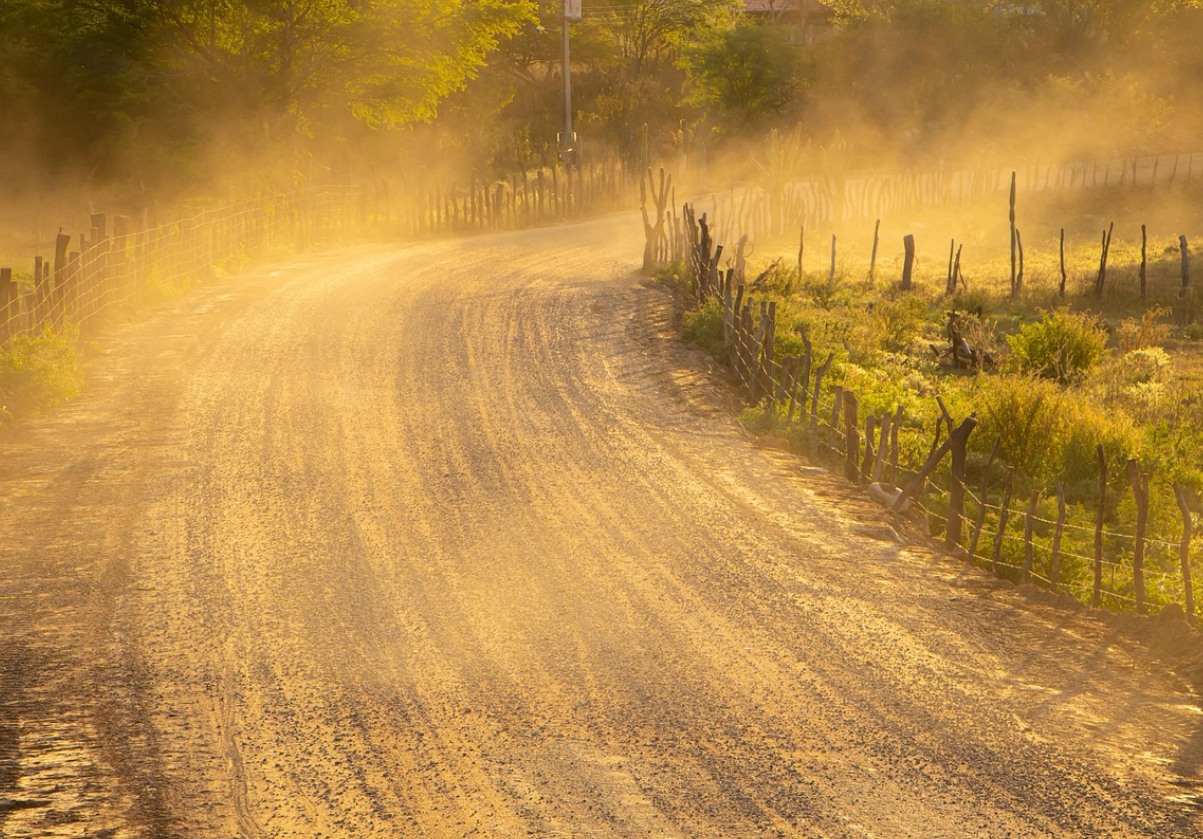 미세먼지에 관한 사진