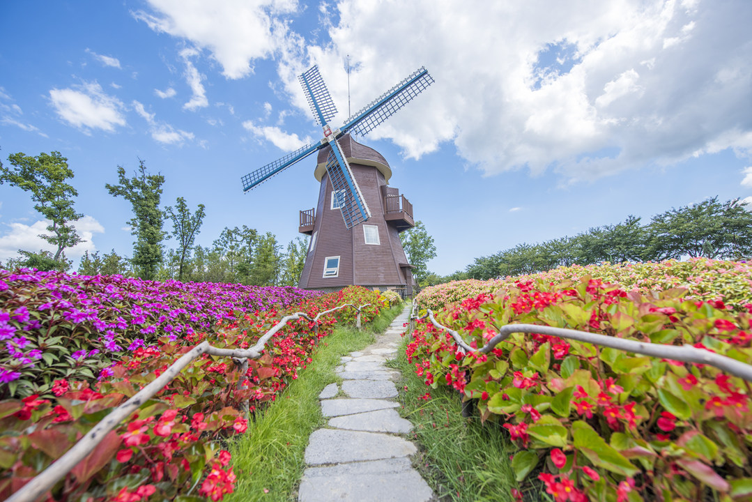 순천만 국가정원 네덜란드존 대표 이미지