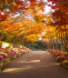 화담숲 예약 모노레일 예약 관람방법