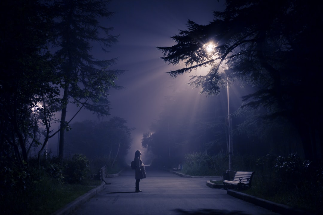 Moonlight