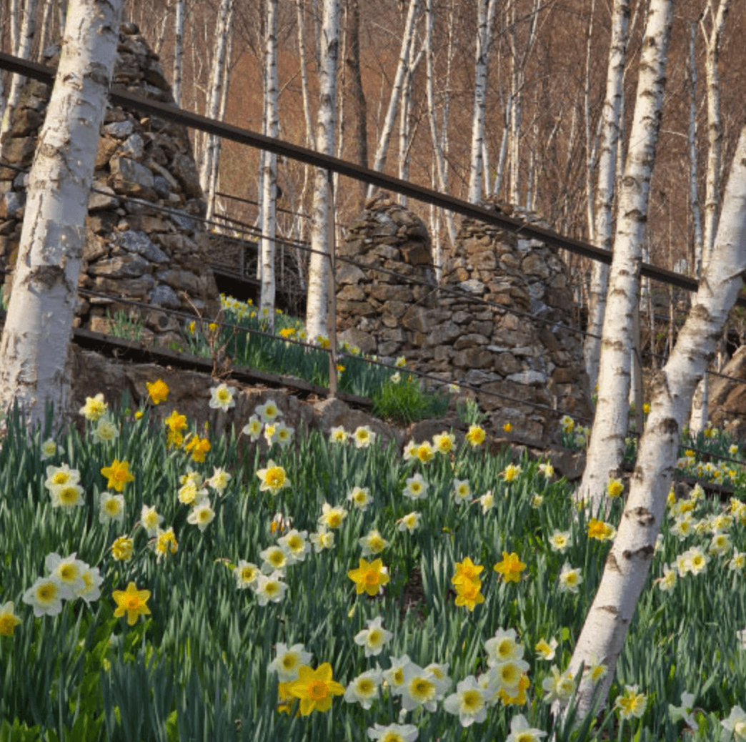 화담숲 화담채 모노레일 사전 예약&amp;#44; 할인받고 예매 하기