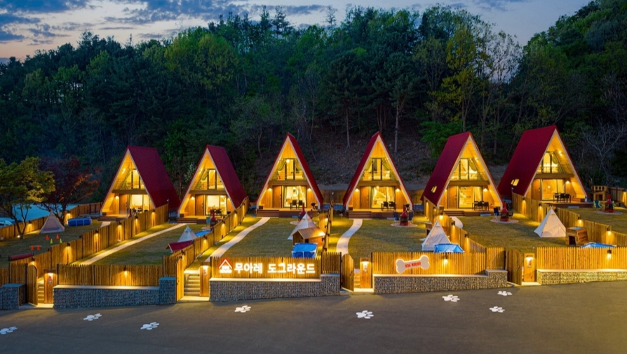 무아레 도그라운드 전경 [출처:한국관광공사]