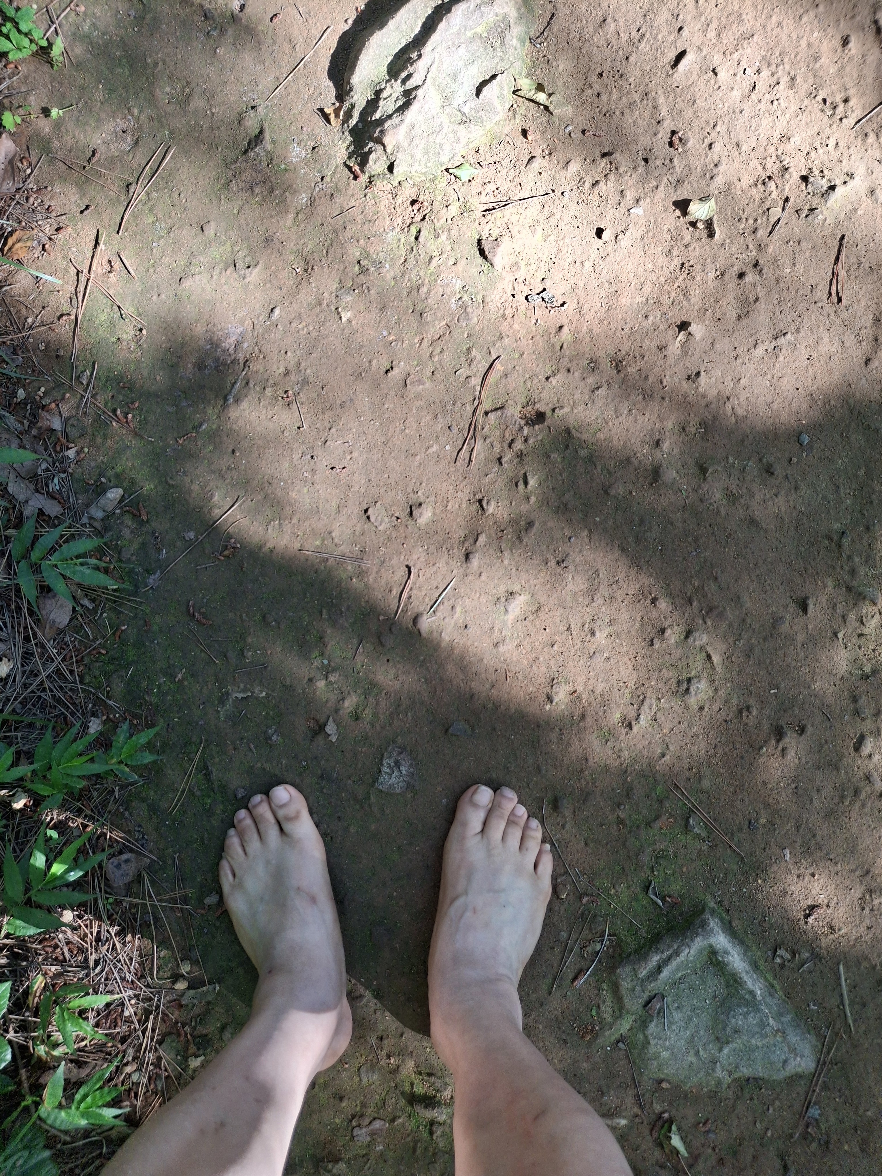 사하구 다대 몰운대 공원 숲길