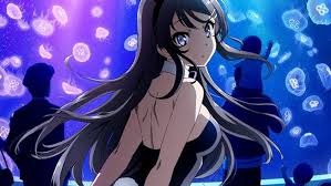 청춘 돼지는 바니걸 선배의 꿈을 꾸지 않는다 관련사진