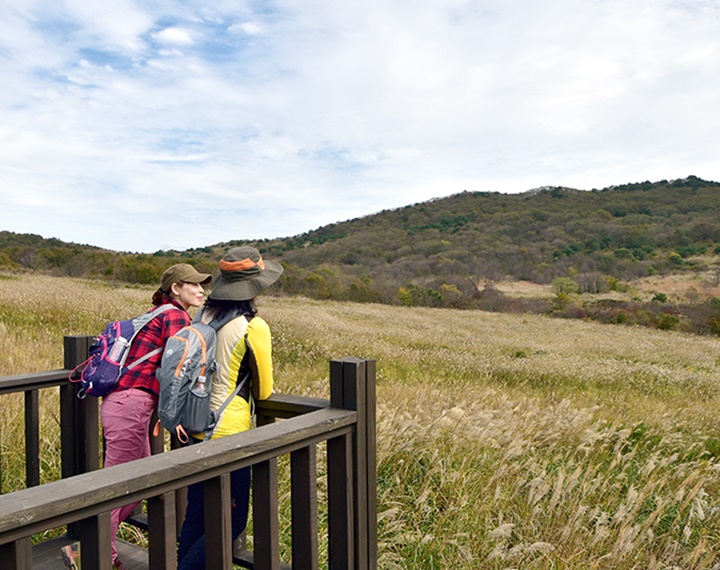밀양 가볼만한곳