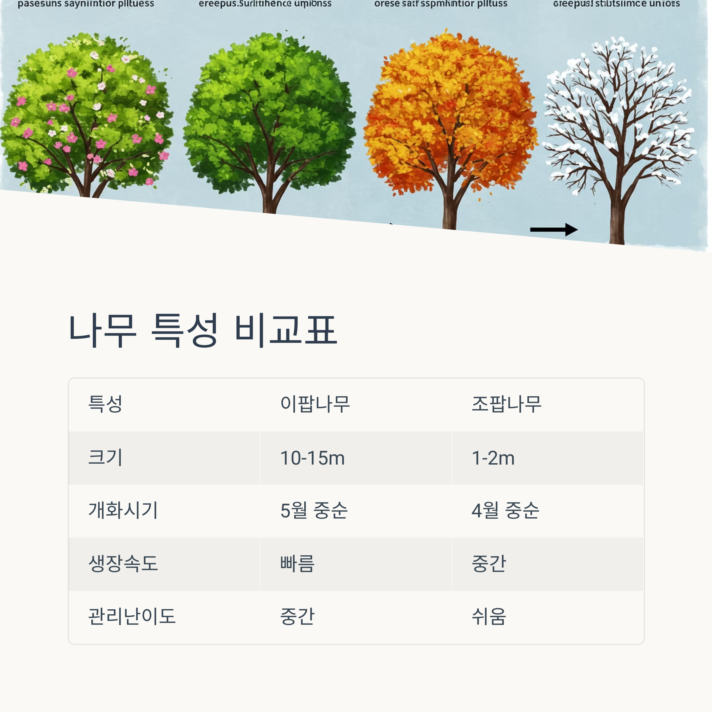 이팝나무 vs 조팝나무 비교표