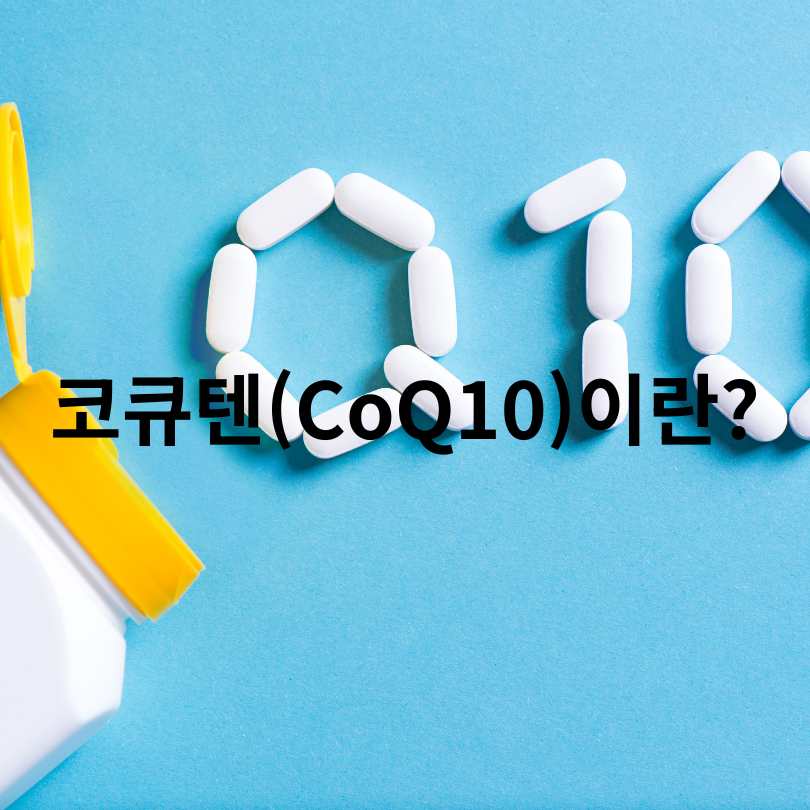 40대 이후 꼭 먹어야 할 노화방지 영양제 비교: NMN과 코큐텐