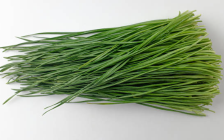 부추김치 맛있게 담그는 법 효능 부추 겉절이 부추전 부추무침 부추 요리 레시피