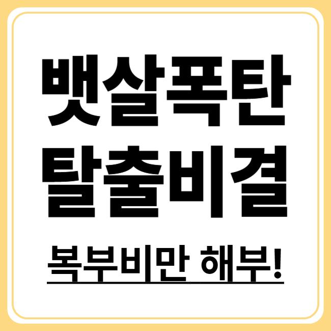여성 복부비만 원인과 해결책, 호르몬 다이어트로 잡자