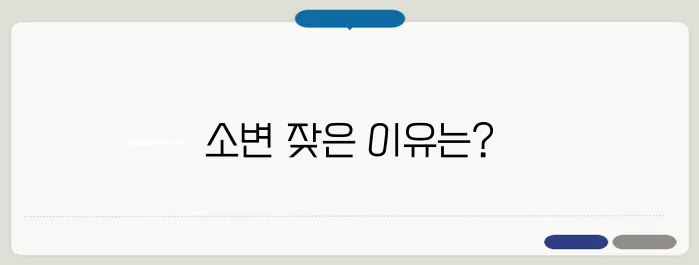 소변이 자주 마려운 증상 원인과 해결 방법