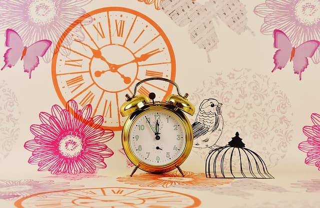 디지털 디톡스 도전기: 스마트폰 없이 보낸 24시간의 기록