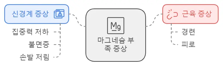 마그네슘 부족증상