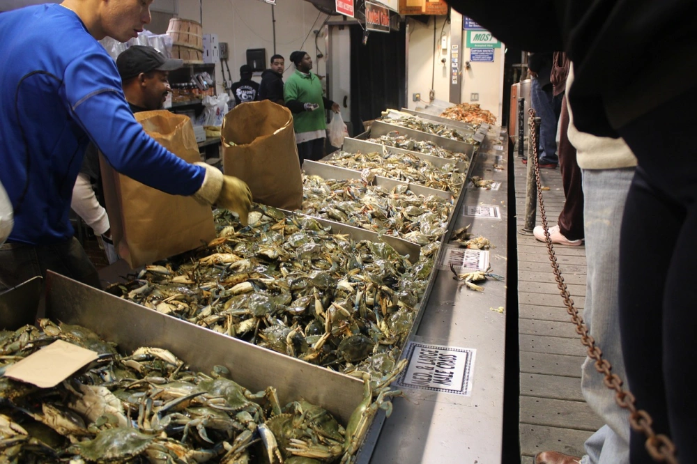 꽃게-행사-기간