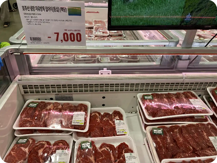 트레이더스 고양