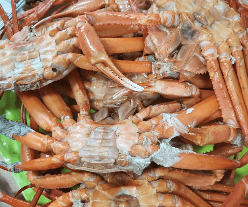 생생정보통 홍게 무한리필 포항 맛집 정보