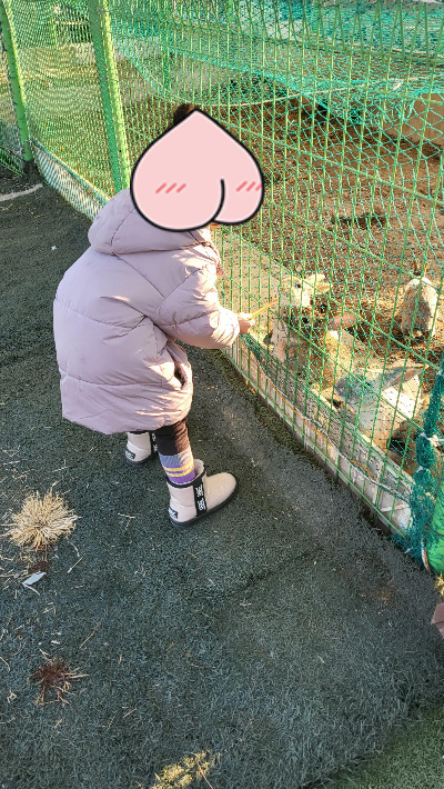 토끼먹이체험