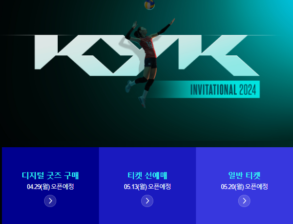 김연경 은퇴경기 국가대표