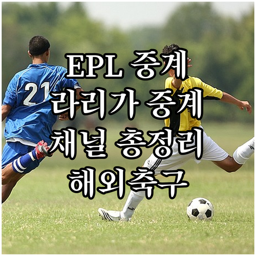 EPL, 라리가 중계 어디서 볼까?