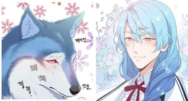 나인포톤