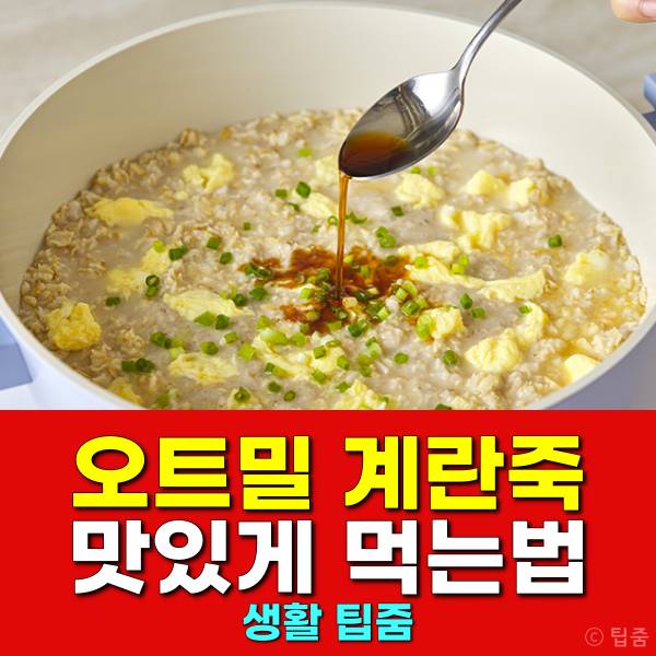 오트밀 계란죽 다이어트 오트밀죽 먹는법