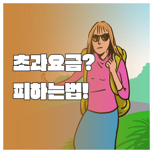 춘추항공 위탁수하물 추가 구매 방법과..