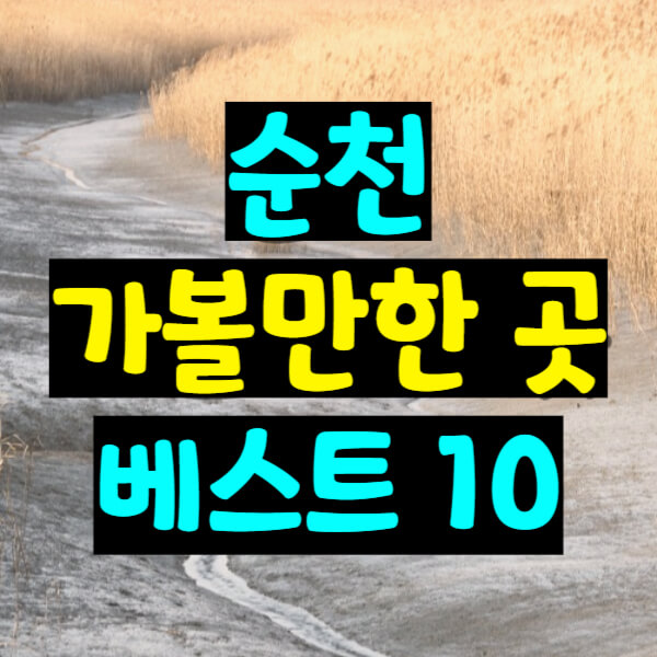 순천 가볼만한 곳 베스트10