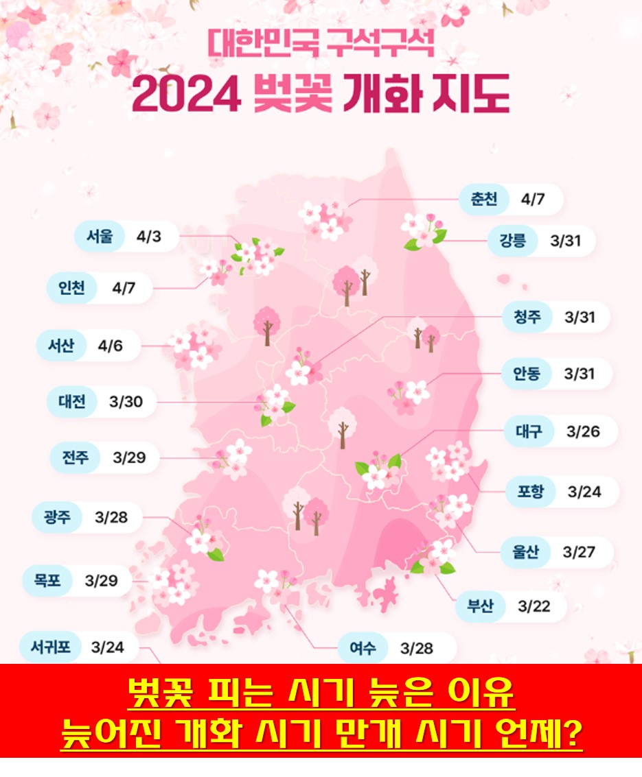 2024년 벚꽃 개화 지도