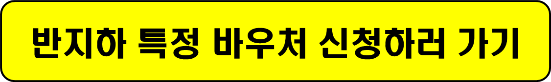반지하 보증금 최대 5000만원 무이자 1억지원 2년간 월세 20만원