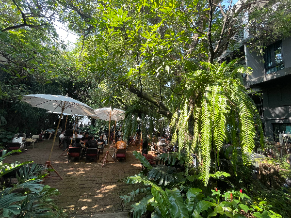 fern forest cafe