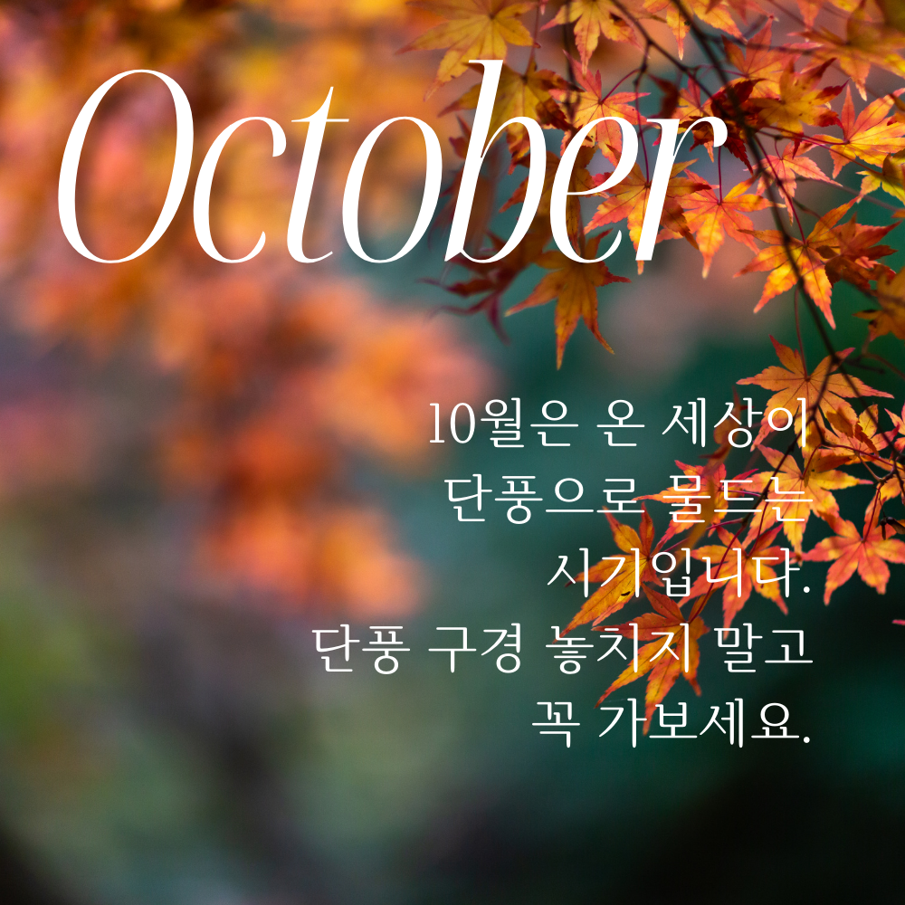 10월 가을 인사말 문구 이미지 모음 카톡 문자 안부 메세지