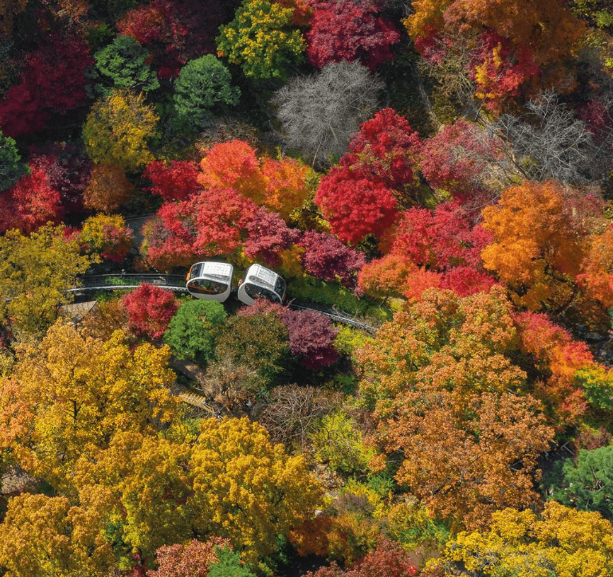 가을 축제 가볼만한 곳