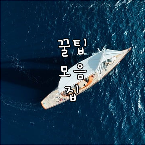 2025 성남 노인 건강보험료 지원,..